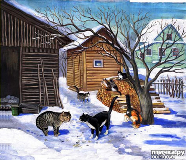 ���� 18: ����. ��� ����� � ���� �����...