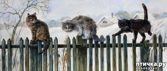 ���� 19: ����. ��� ����� � ���� �����...