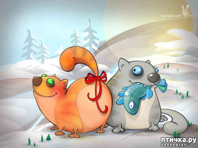 ���� 20: ����. ��� ����� � ���� �����...