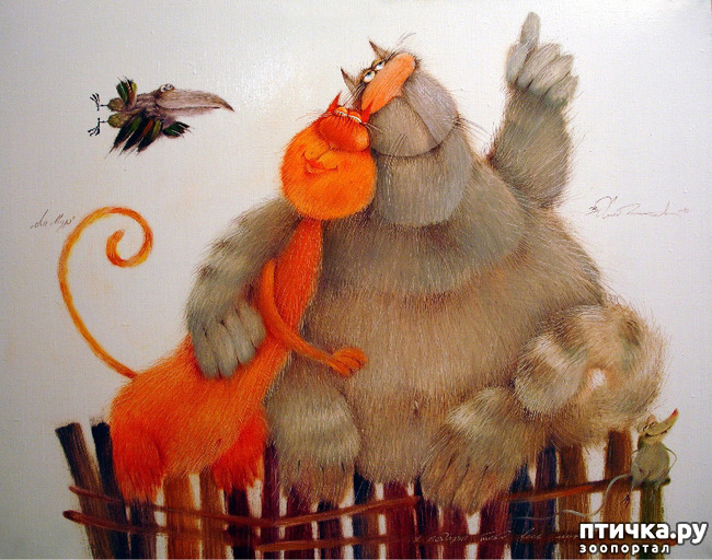 ���� 21: ����. ��� ����� � ���� �����...