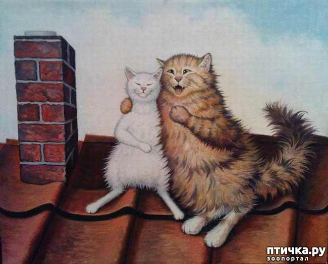 ���� 22: ����. ��� ����� � ���� �����...