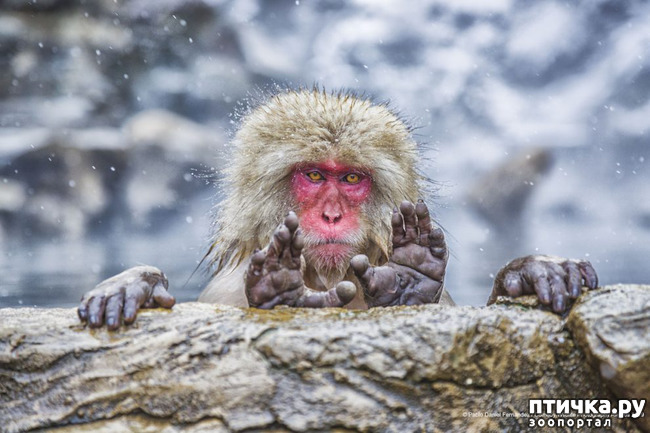 ���� 2: 40 ����� ������