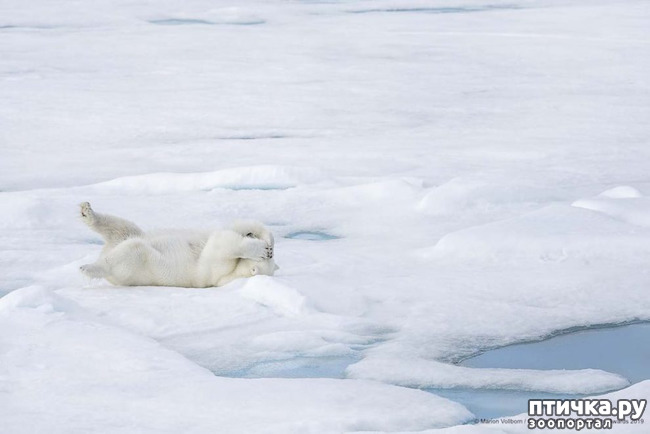 ���� 5: 40 ����� ������