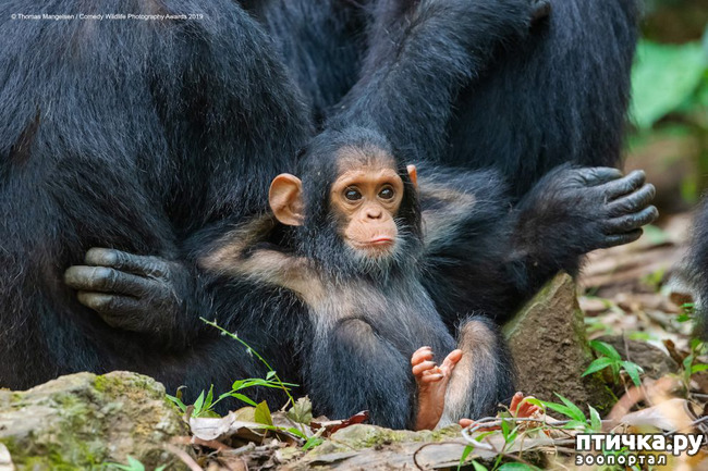 ���� 7: 40 ����� ������