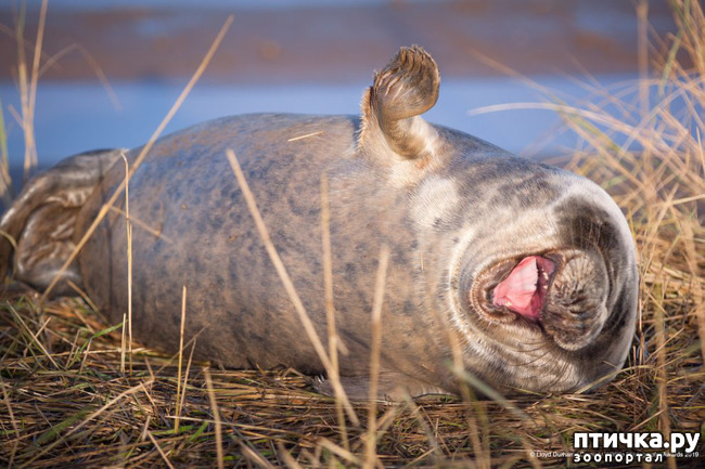 ���� 9: 40 ����� ������