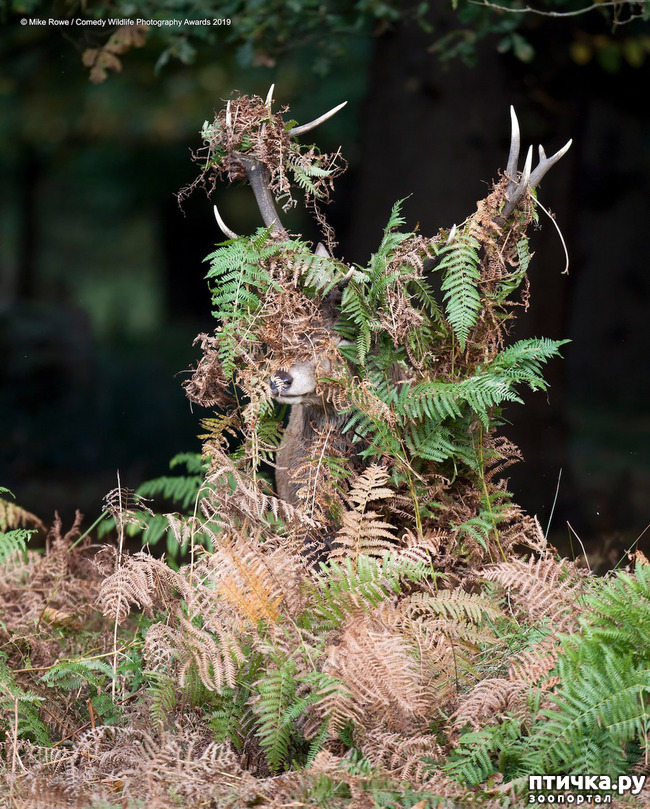 ���� 3: 40 ����� ������