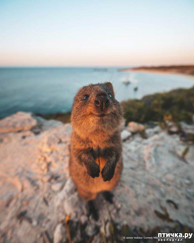 ���� 12: 40 ����� ������