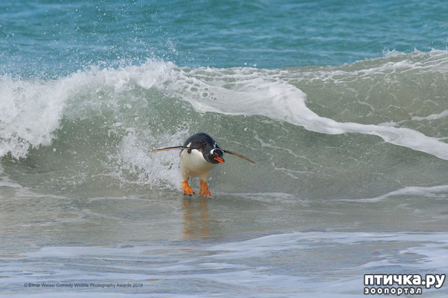 ���� 17: 40 ����� ������