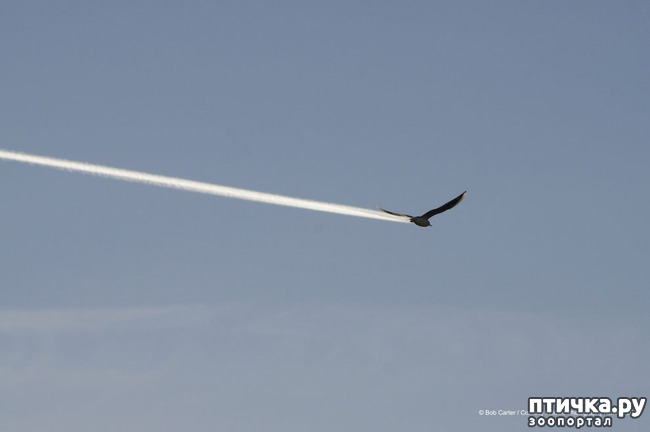 ���� 21: 40 ����� ������