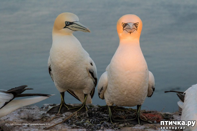 ���� 20: 40 ����� ������