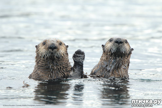 ���� 18: 40 ����� ������
