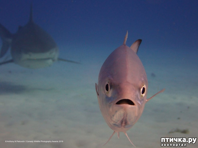 ���� 22: 40 ����� ������