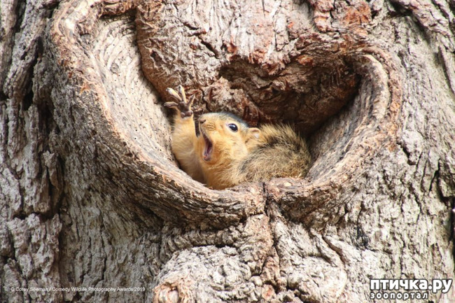 ���� 19: 40 ����� ������