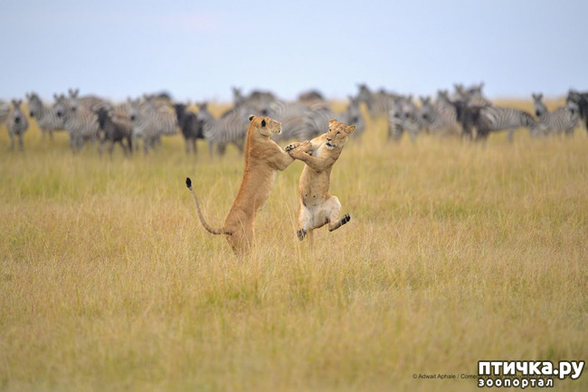 ���� 27: 40 ����� ������