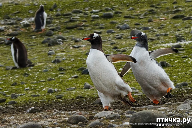 ���� 24: 40 ����� ������