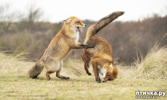 ���� 28: 40 ����� ������