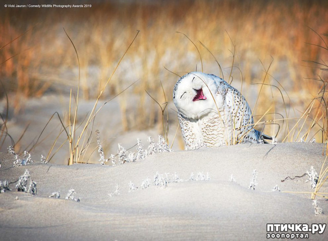 ���� 30: 40 ����� ������