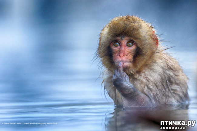 ���� 33: 40 ����� ������