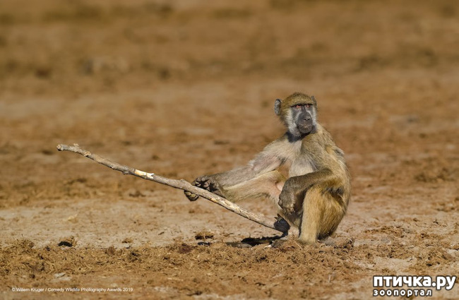 ���� 32: 40 ����� ������