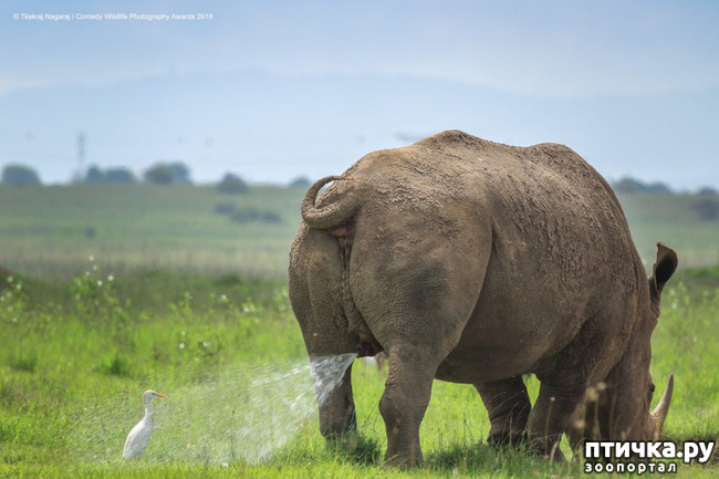 ���� 35: 40 ����� ������