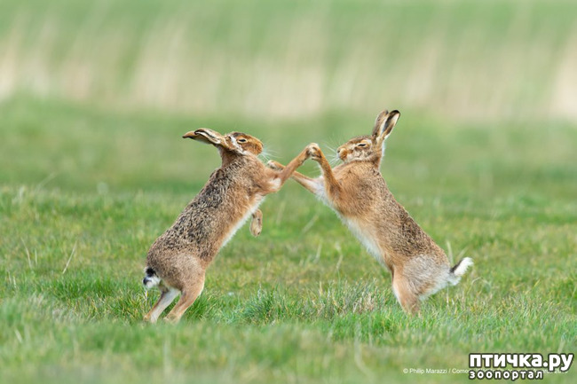 ���� 37: 40 ����� ������