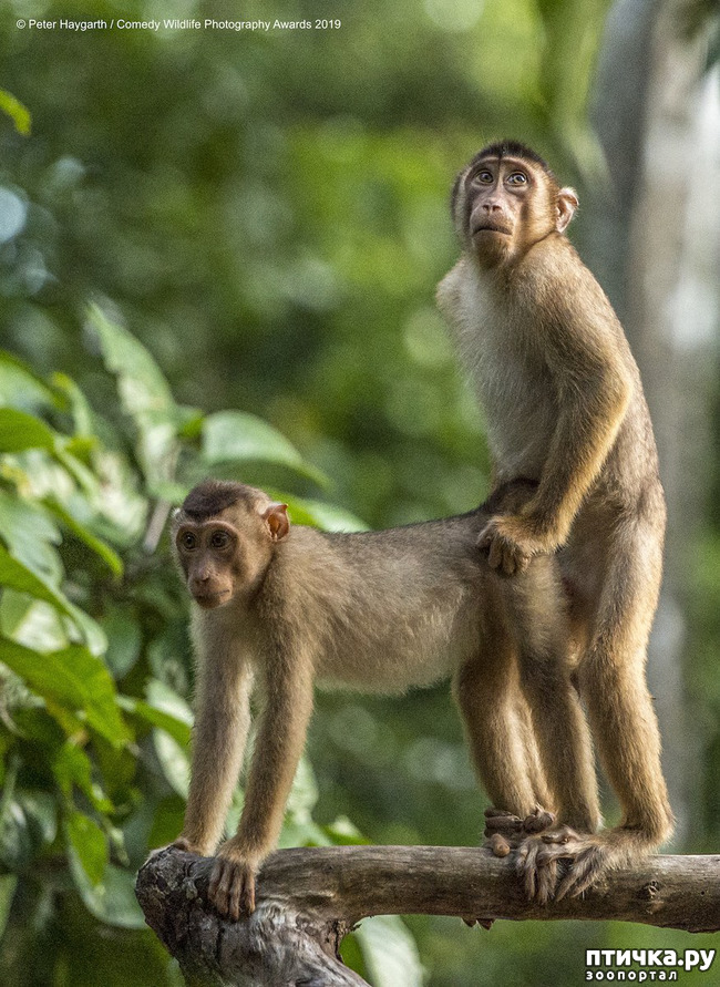 ���� 25: 40 ����� ������