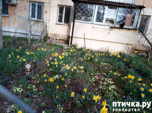 ����: �������� ��������!