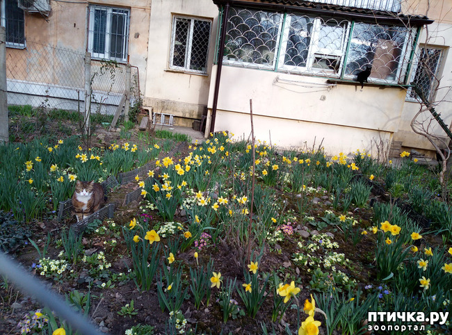 ���� 1: �������� ��������!