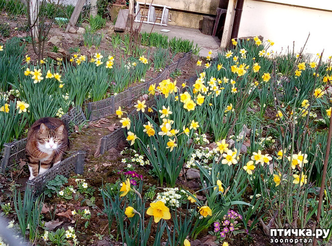 ���� 2: �������� ��������!