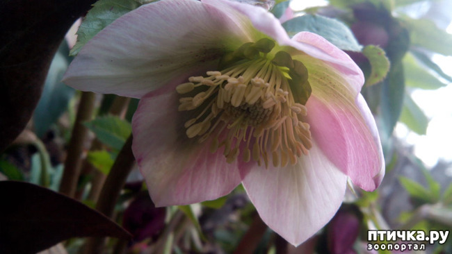 ���� 5: �������� ��������!