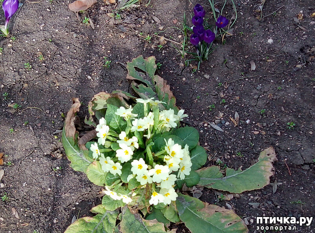 ���� 4: �������� ��������!