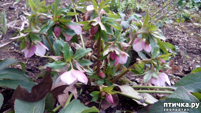 ���� 6: �������� ��������!