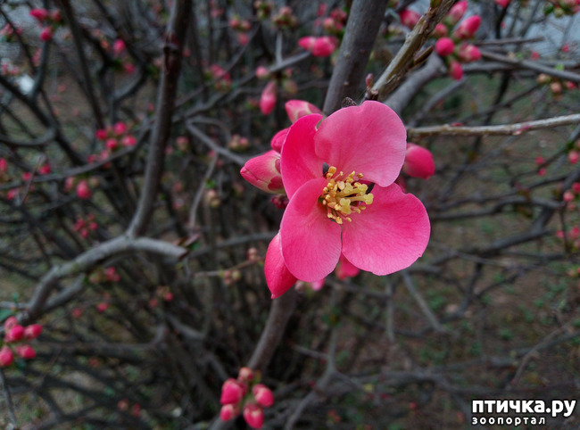 ���� 7: �������� ��������!