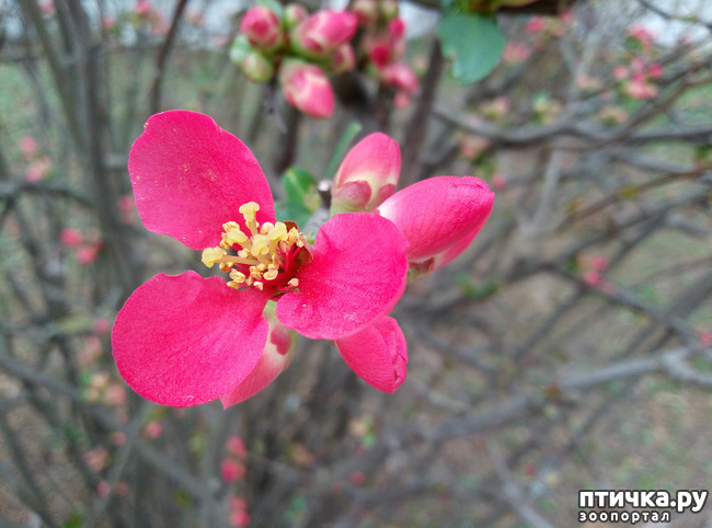 ���� 8: �������� ��������!