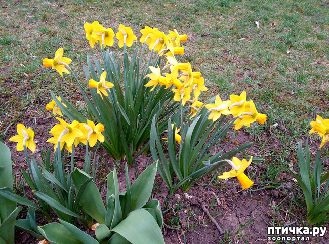 ���� 11: �������� ��������!