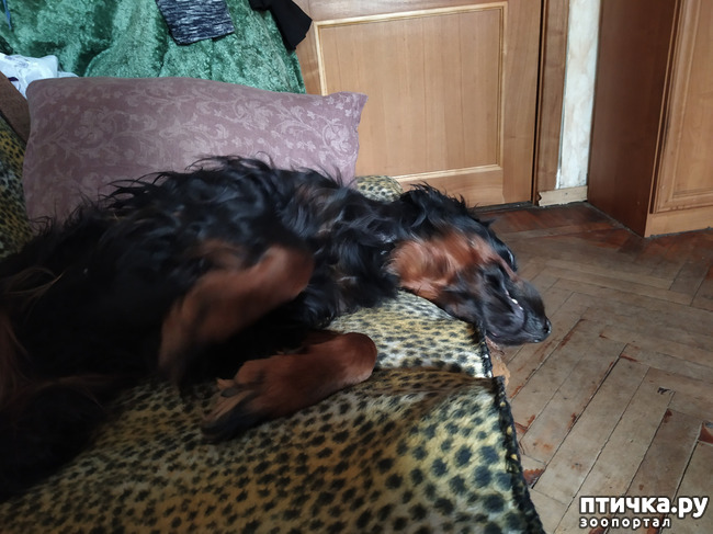 ���� 3: ��� ��� ����.