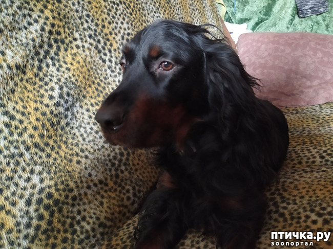 ���� 4: ��� ��� ����.