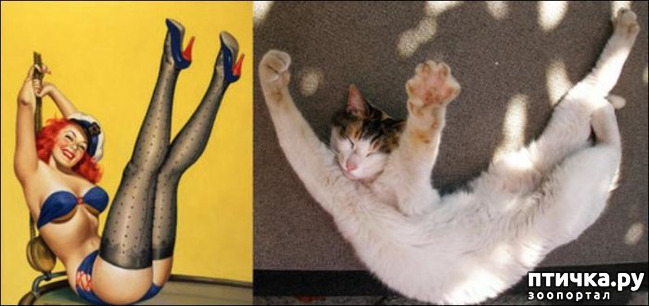 ���� 6: ����� � ����� ���-�� 3