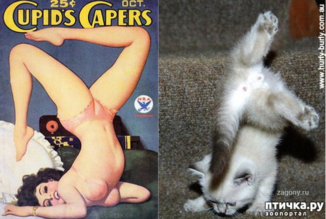 ���� 2: ����� � ����� ���-�� 3