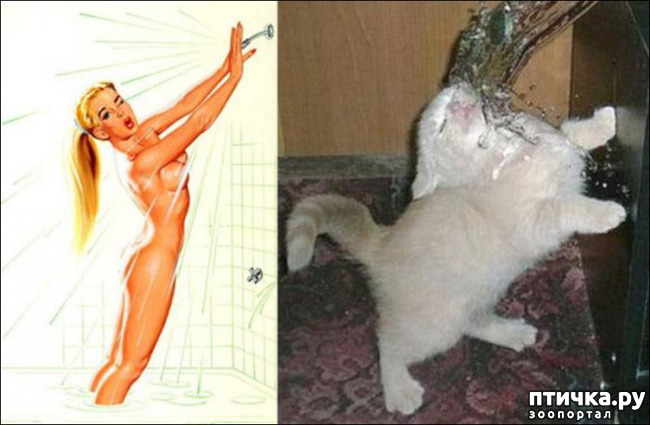 ���� 5: ����� � ����� ���-�� 3