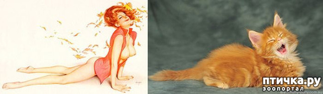 ���� 8: ����� � ����� ���-�� 3