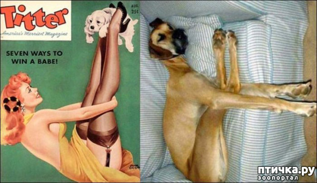 ���� 7: ����� � ����� ���-�� 3