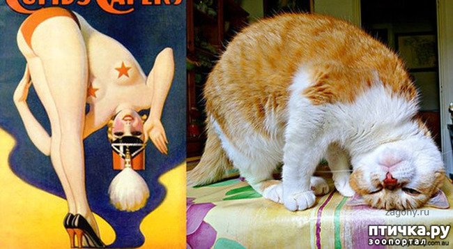 ���� 14: ����� � ����� ���-�� 3