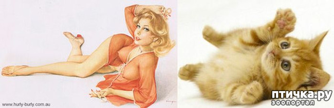 ���� 9: ����� � ����� ���-�� 3