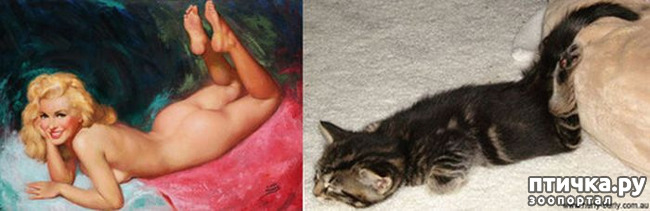 ���� 16: ����� � ����� ���-�� 3