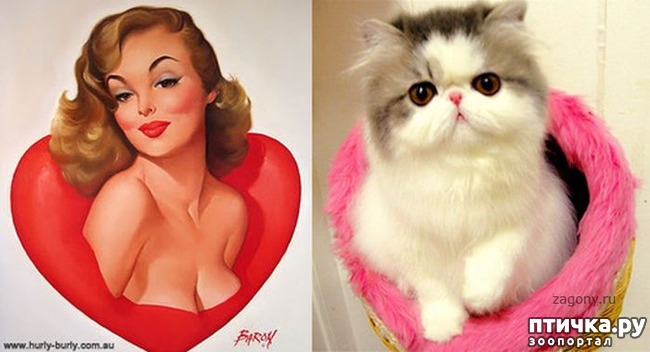 ���� 11: ����� � ����� ���-�� 3