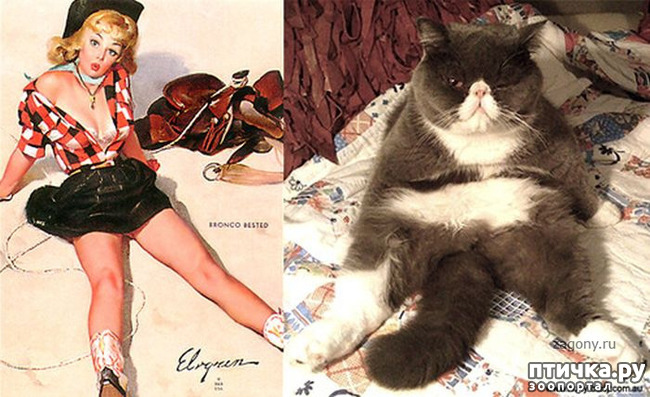 ���� 13: ����� � ����� ���-�� 3