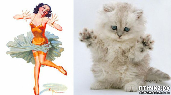 ���� 18: ����� � ����� ���-�� 3