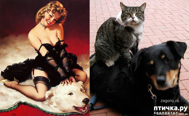 ���� 20: ����� � ����� ���-�� 3