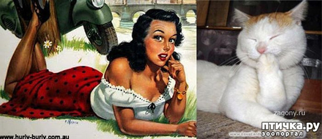 ���� 21: ����� � ����� ���-�� 3